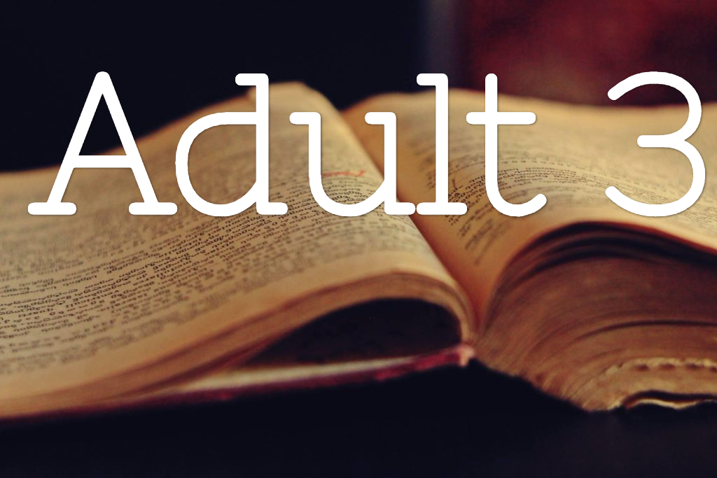 Adult 3