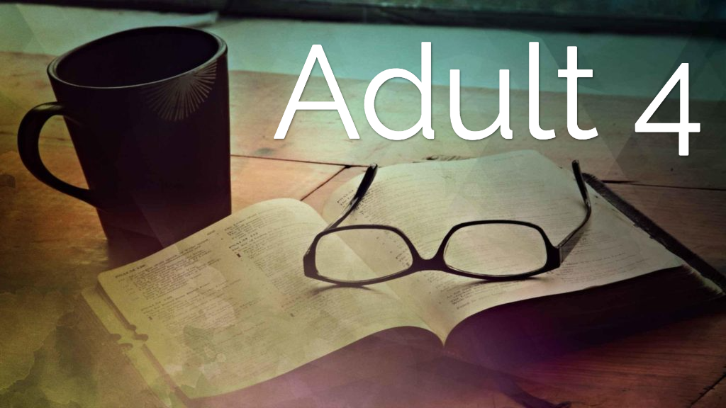 Adult 4