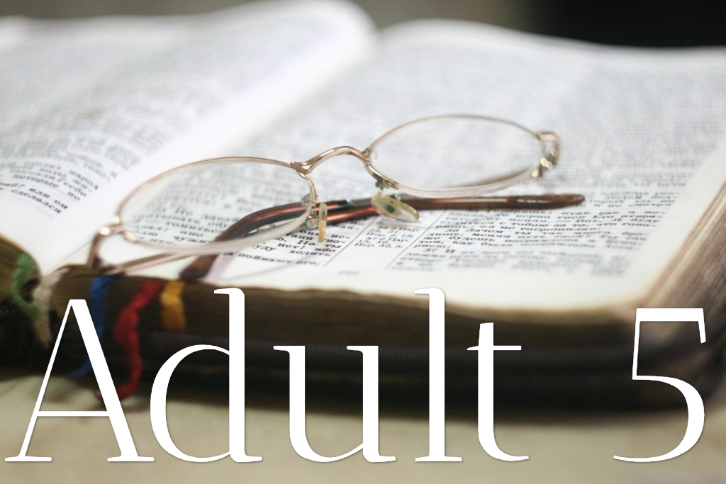 Adult 5